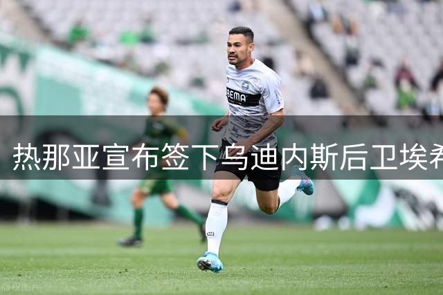 热那亚宣布签下乌迪内斯后卫埃希兹布